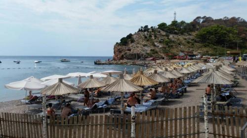 Sutomore  19
