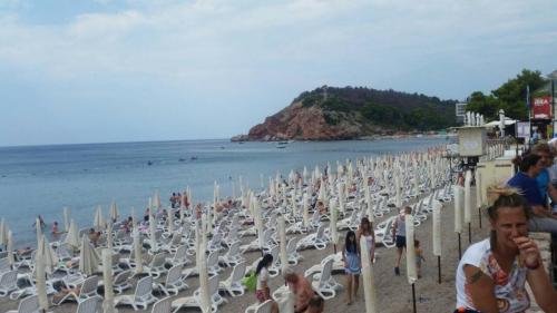 Sutomore  33