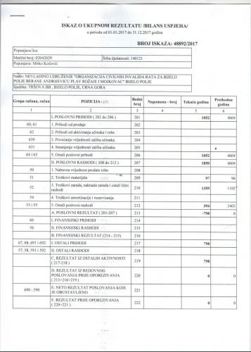 ZR-CIR-2017-Bilans-uspjeha-1